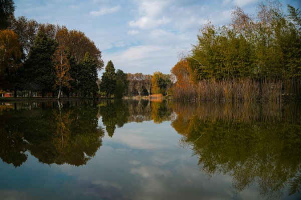 Les Innovations en Médecine de Réhabilitation Neurocognitive