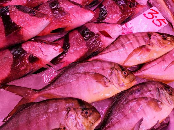 Implant dentaire en turquie : comprendre le recours au tourisme dentaire